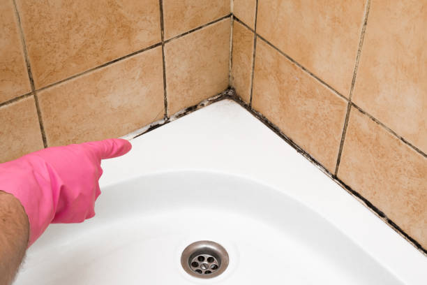 Best Office Mold Removal Services  in Etowah, NC